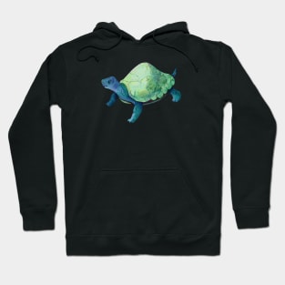 Eggshell Turtle Hoodie